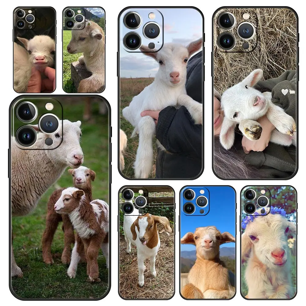 Cartoon Cute Goat P… - image