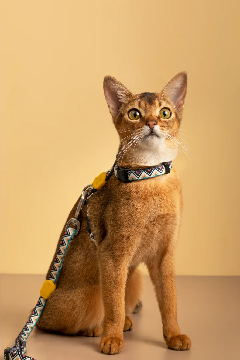 Cat Polyester Lead Leash Harnesses Suspenders Set Adjustable I-font Structure Anti-Break Vest