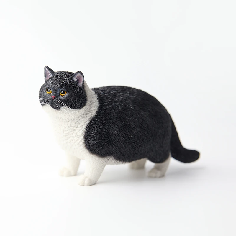 Jxk 1/6 escala material de resina gato gordo modelo simulação boneca artesanal para figuras de brinquedo desktop decoração do carro presente mini