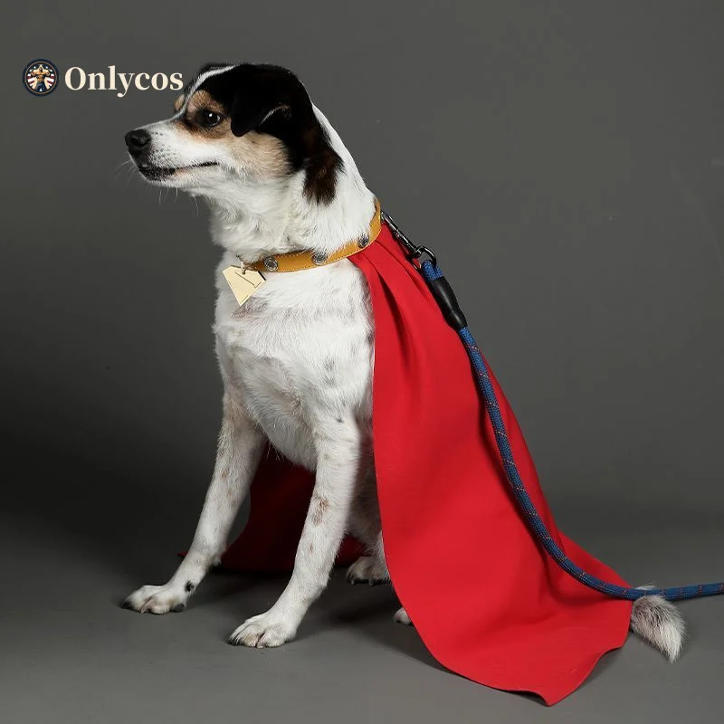 2025 خارقة كريبتو تأثيري حلي الحيوانات الأليفة الرأس مع طوق هالوين كرنفال الزي الرسمي أنيمي الملابس Onlycos