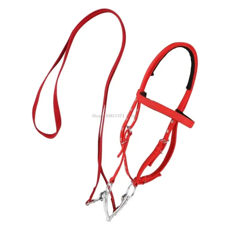 Quality Fashionable Leather Horse Headgear Horse Bridle Headstall With Silver Hardware Waterproof Design For Stable Use
