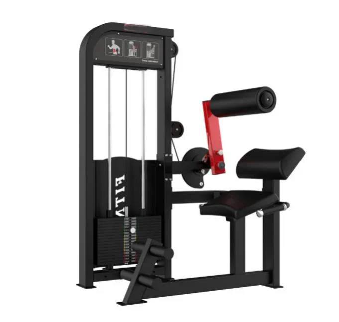 

Back Abdominal Muscles Exercise Gym Chest Press Machine Strength Training Back Abdominal Machine for Sale