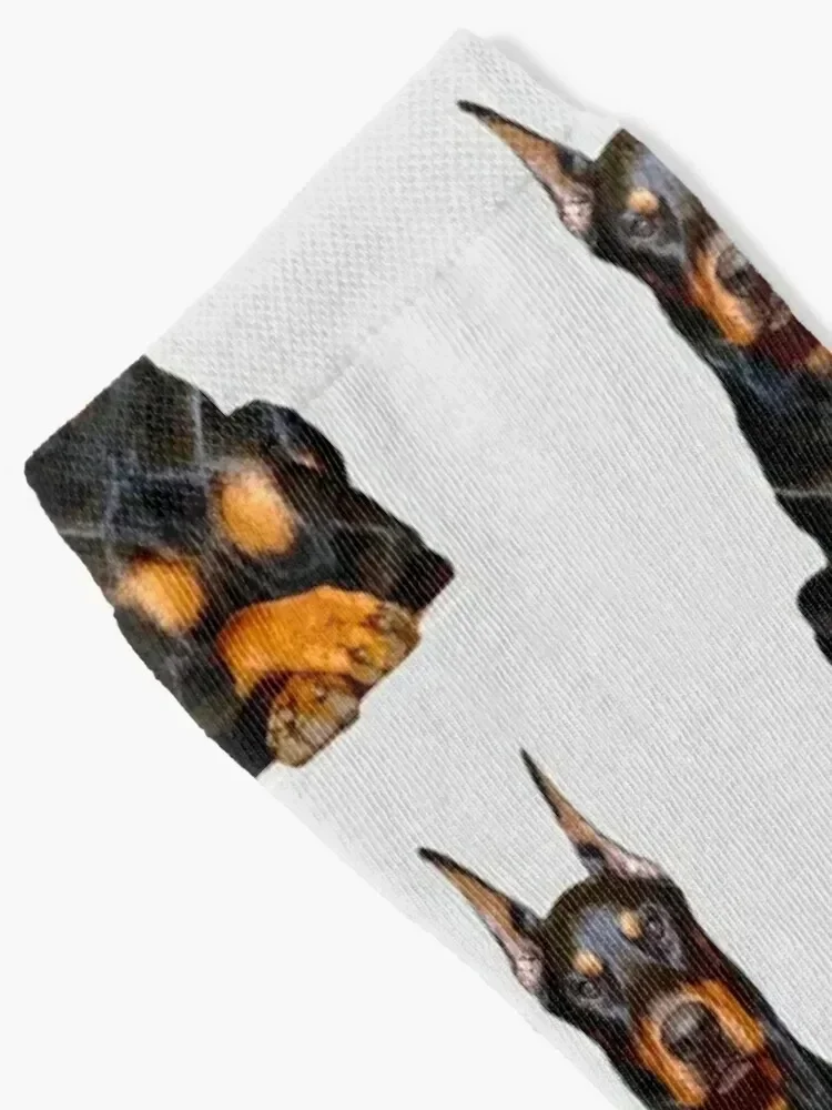 Doberman Guards Me - Dobermann Pinscher Dog Socks summer Climbing floral Designer Man Socks Women's