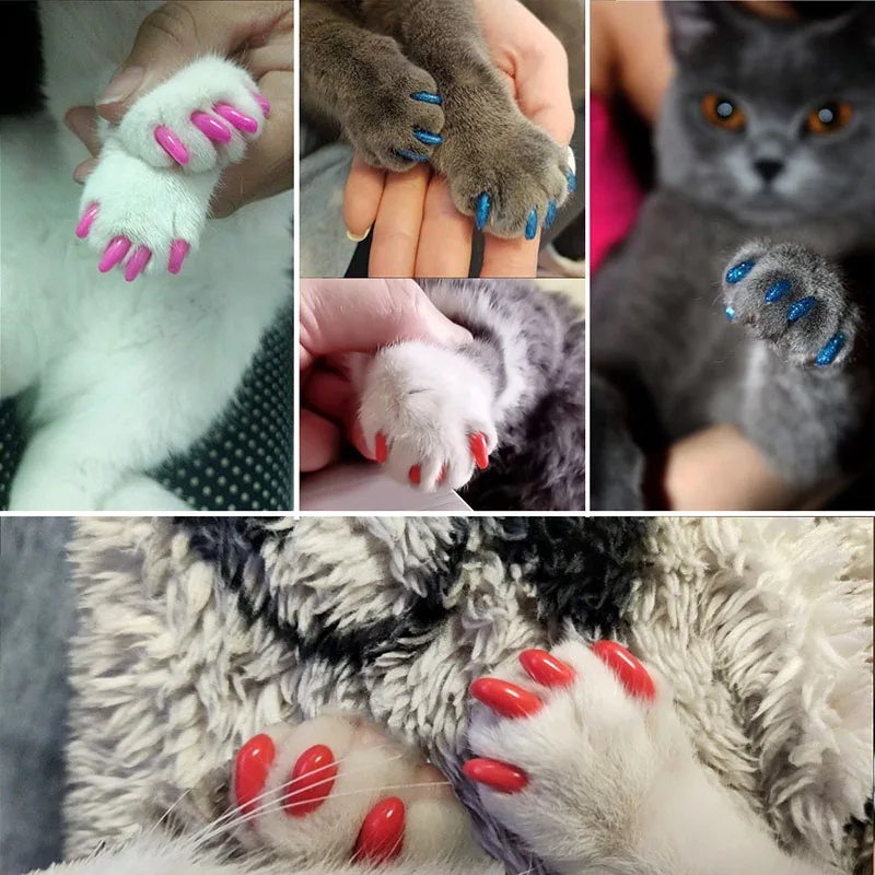 20 Stück Katzen-Nagelkappen, Haustier-Katze, weiche Pfoten, Nagelschutzabdeckung mit kostenlosem Kleber für die Fellpflege von Kätzchen – Detail 4
