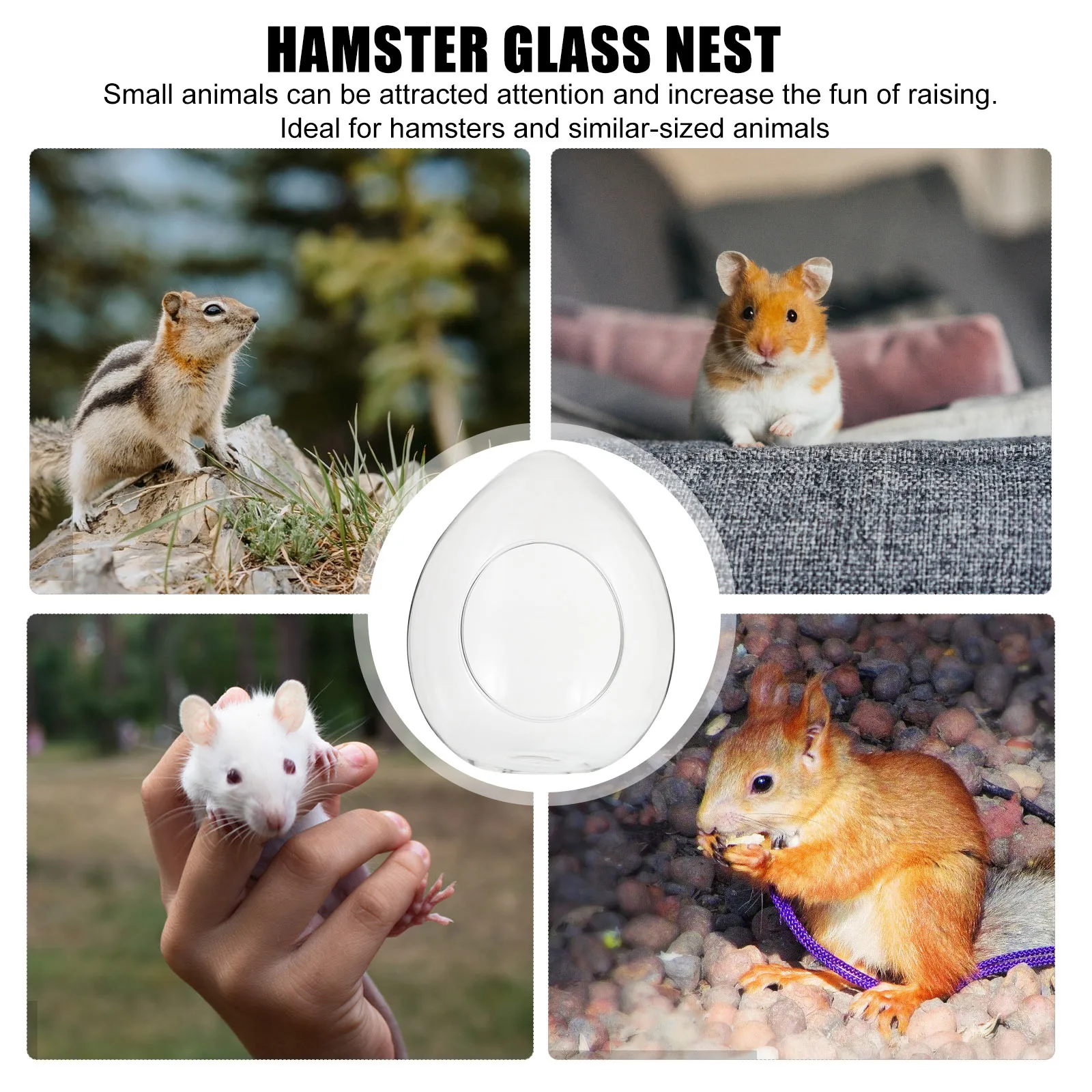 

Glass Hamster Cooling Nest Transparent Chinchilla Bed House Guinea Pig Pet Summer Nest Supplies Pet Supplies Bird Cooling House