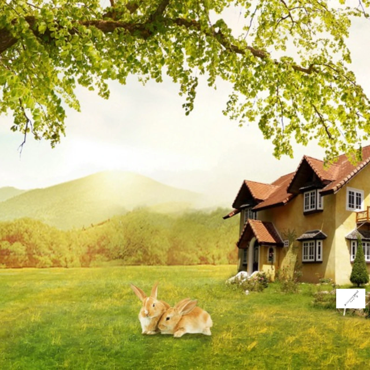 

Алюминиевая передняя скоба шасси GPM для 1/10 LOSI Lasernut Tenacity Ultra 4 Tenacity DB Pro