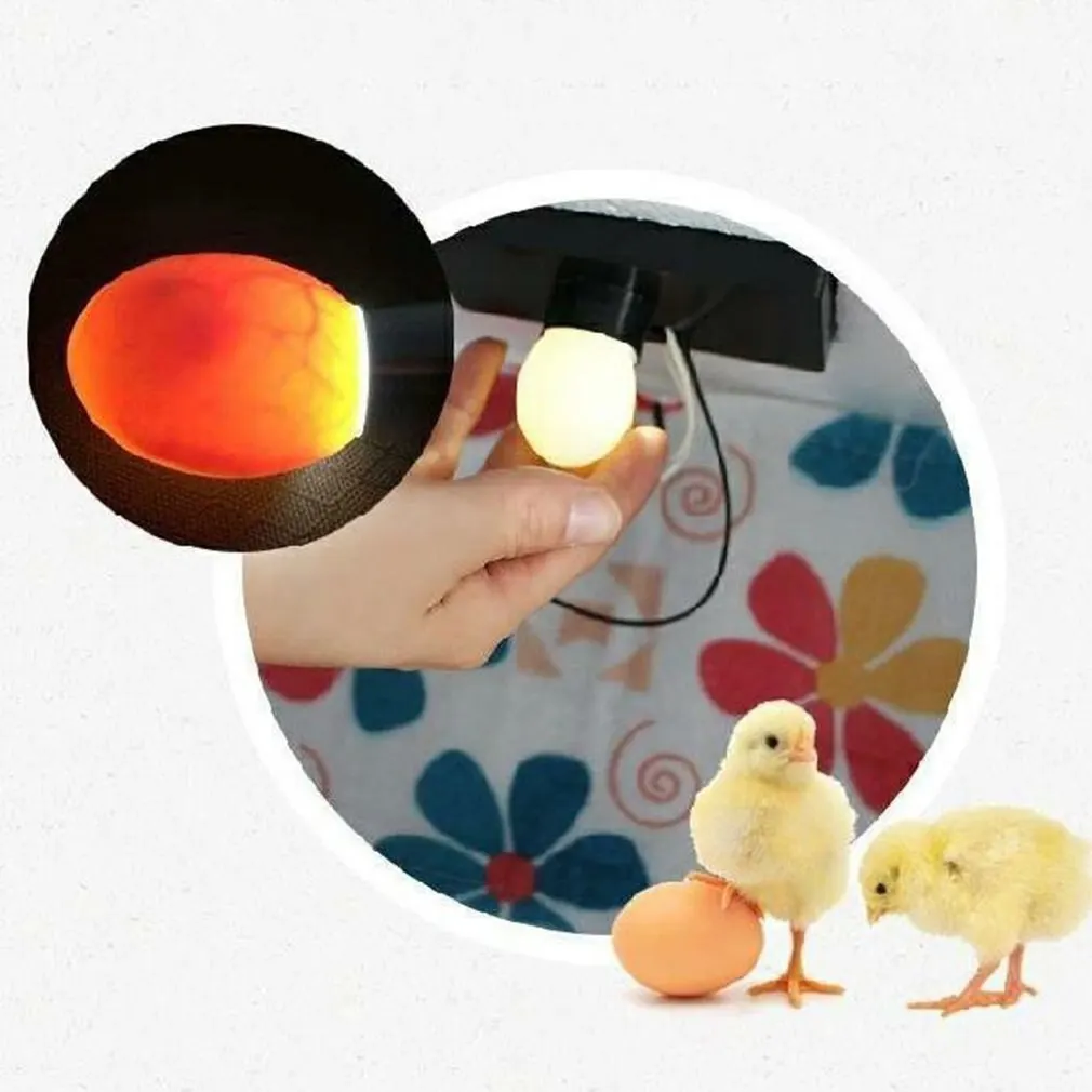110V/220V Rumah Tangga 16 Telur Inkubator Daya Ganda Cerdas Otomatis Penetas Telur untuk Ayam Bebek Angsa Burung Merpati Puyuh