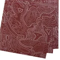 Topographic 7