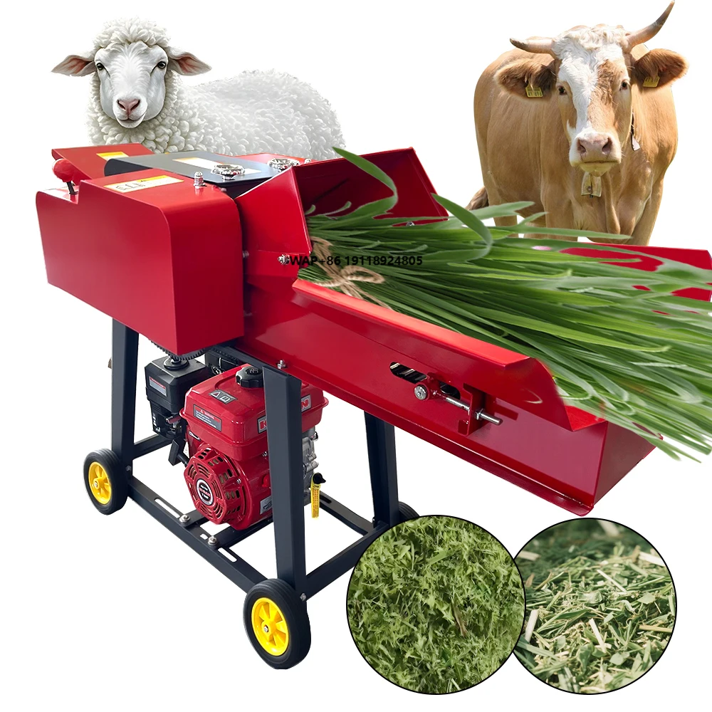 

Conveyor Belt Chaff Cutter Machine Forage Grass Cutter Silage Straw Hay Chopper Animal Feed Processing Machine 3000kg/h
