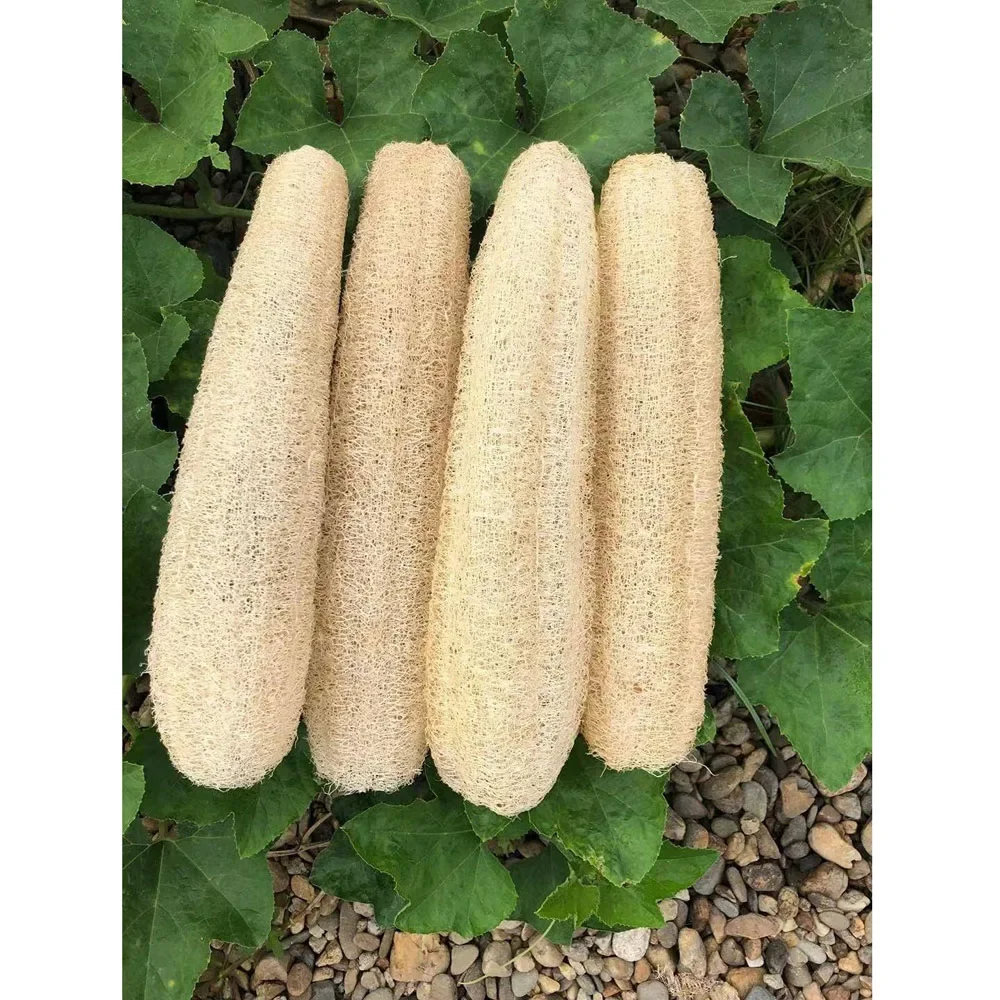 Whole Natural Organic Loofah Sponges Exfoliating Shower Bath Loofah Luffa Body Sponge for SPA Beauty Skin Care about 30-40cm