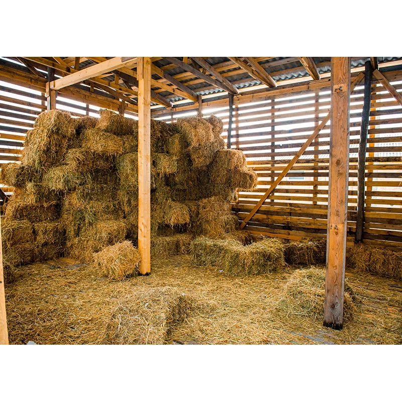 Musim Semi Paskah Fotografi Latar Belakang Anak-anak Ulang Tahun Bayi Seratus Hari Tema Foto Latar Belakang Studio Alat Peraga 220210 HF-01