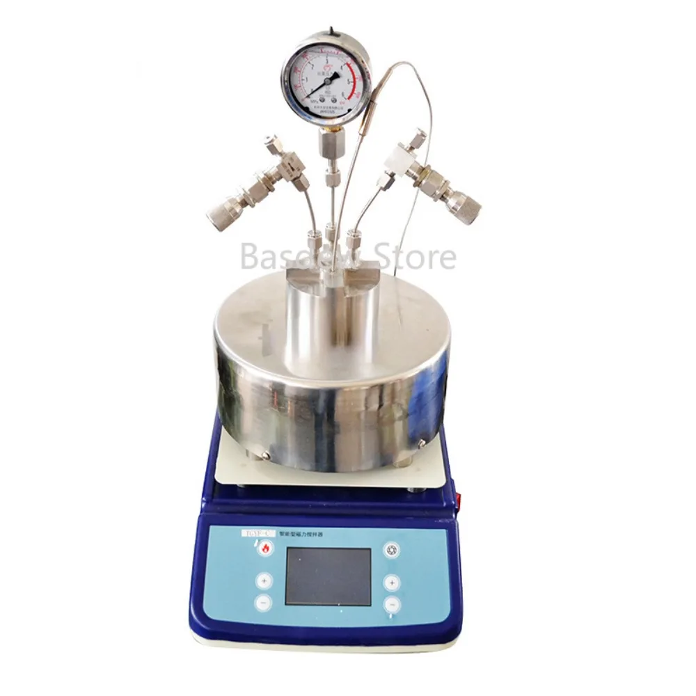 

Stainless Steel High Temperature and High Pressure Reactor Laboratory Magnetic Stirring Micro High Pressure Reactor