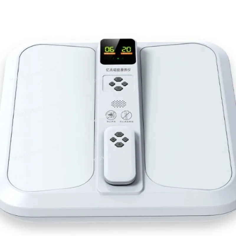 Qi-Blood Temperature Pass Instrument, Maglev Energy Health Spectrum Fuyang, Plantar Meridian Heat Therapy, for Health Center