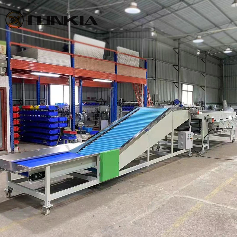 Picture 6: High-Speed Automatic Fruit Vegetable Sorting Equipment Size Grading Machine for Mango Other Vegetables Enhanced Efficiency