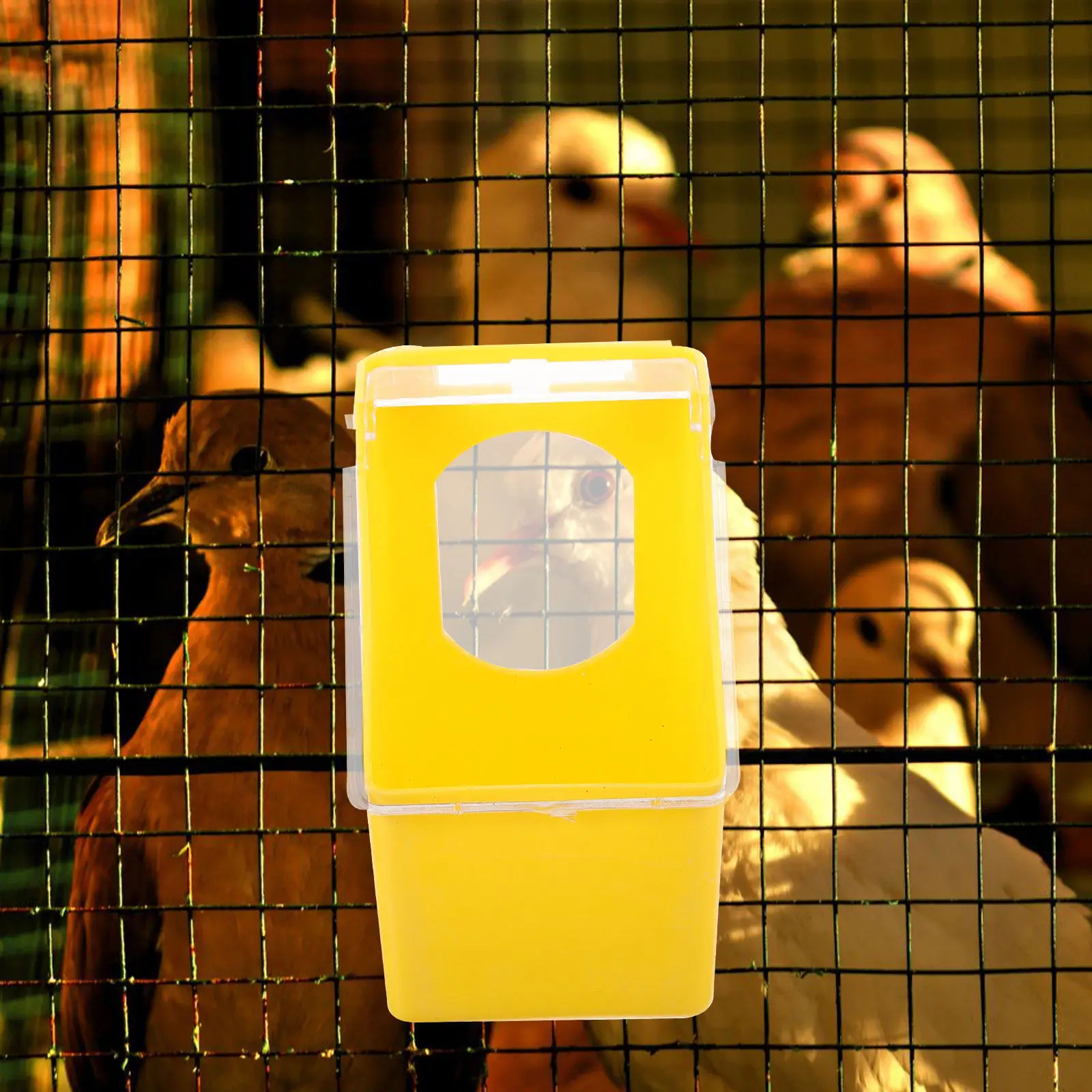 

5Pcs Hanging Cage Feeder Pigeon Food Container Yellow Plastic Lid Single Hole Parakeet Dove Quail Poultry Feeding Box