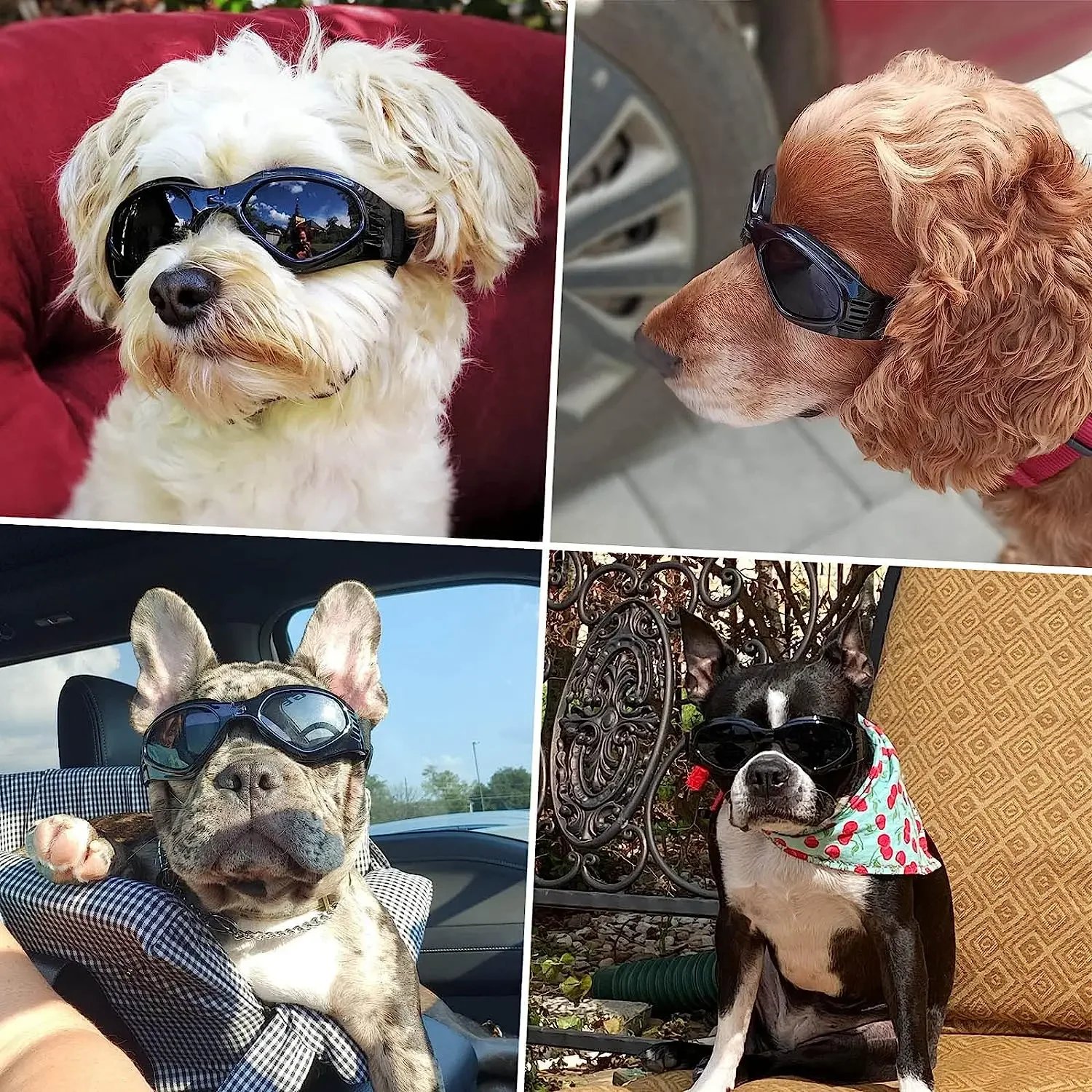 Dog Helmet & Sunglassesg 6