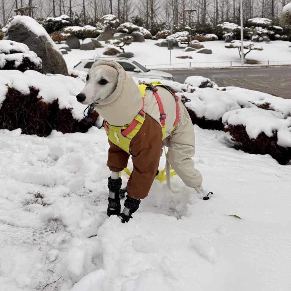 Winter 4-legged Plush Jacket for Whippet Dogs Windproof Waterproof Zipper Coat Warm RainCoat for Italian Greyhound