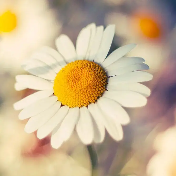 

Ni-MH аккумулятор для Dewalt 4800 мАч, 9,6 В DE9061 DE9062 DW9060 DW9061 DW9062 EZWA DE9036 29