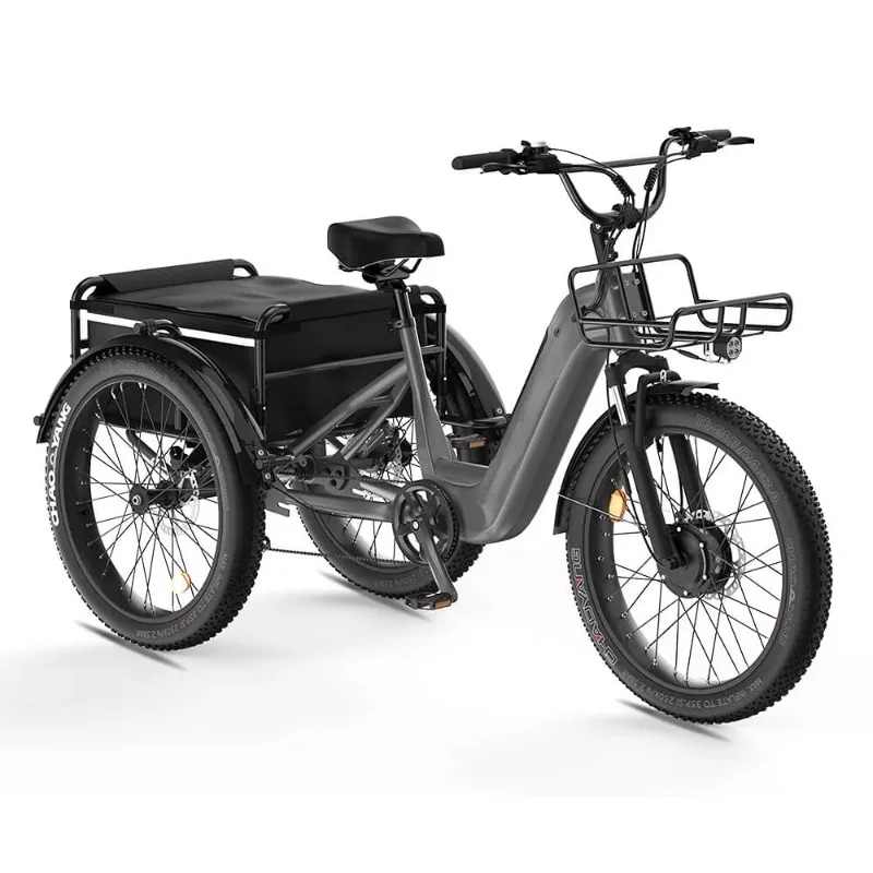 USA Warehouse Big Cargo 24inch 3 Wheels 500W 48V 15AH Full Aluminum Alloy Ebike Electric Tricycle for Family Adults Seniors
