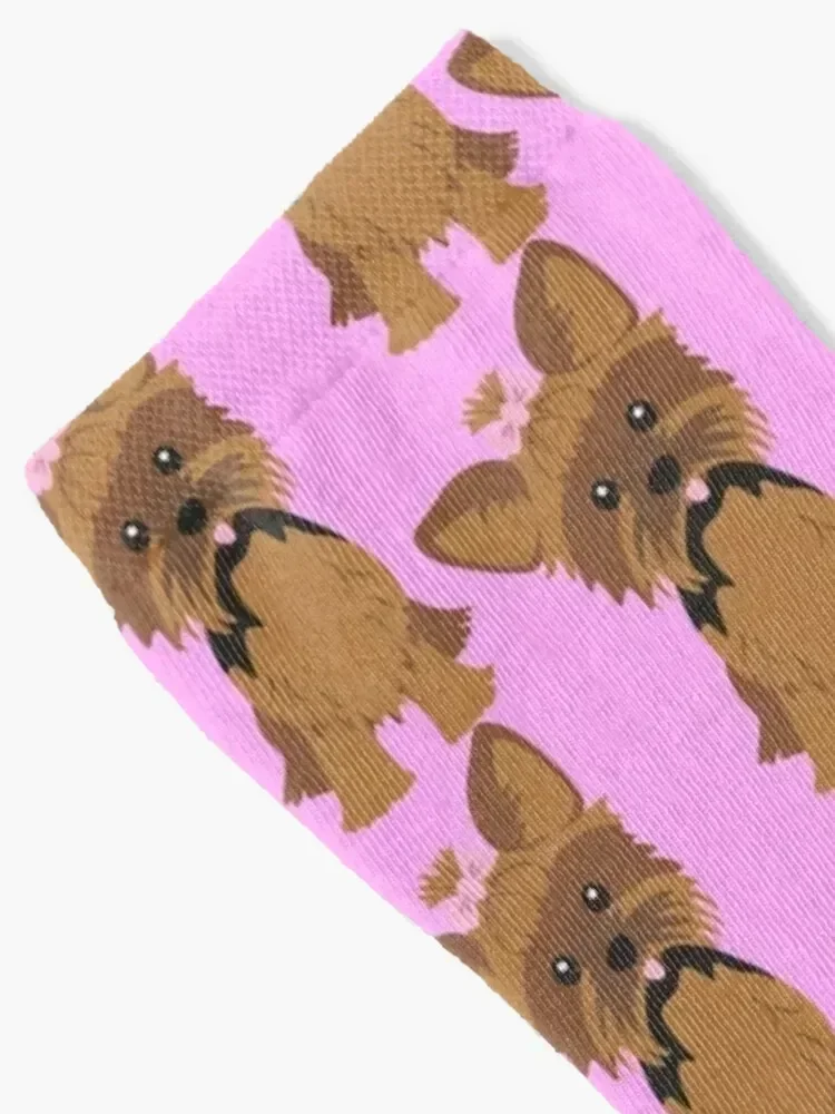 Yorkshire Terrier Socks cute Toe sports Man Socks Women's