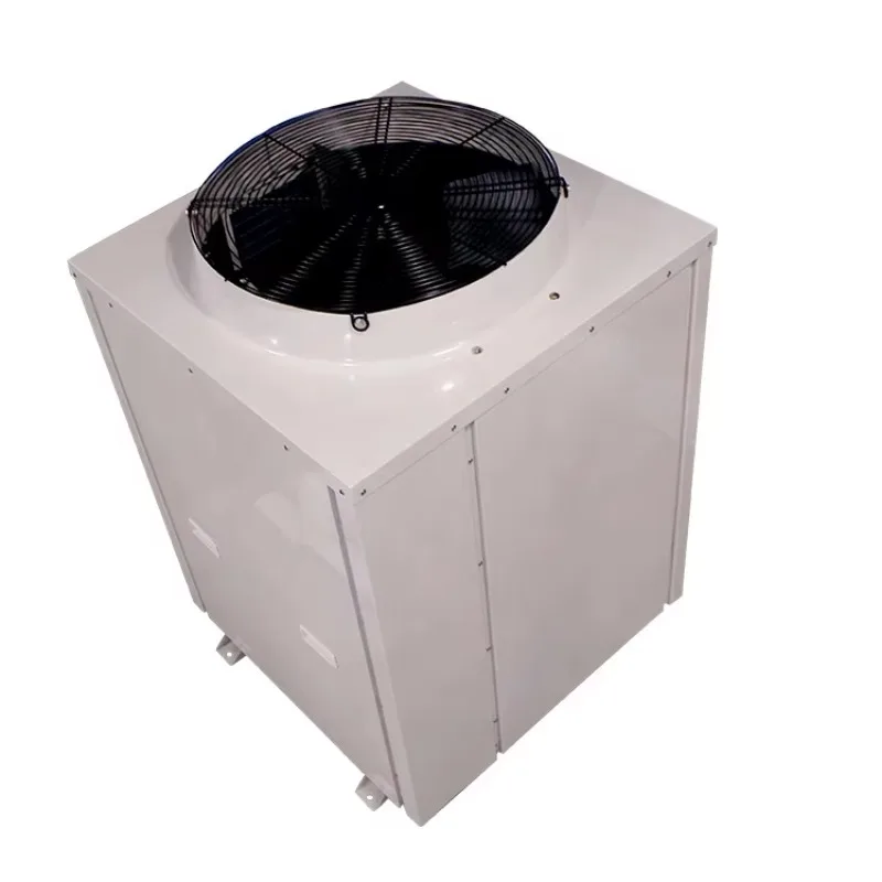 Bomba de Calor Comercial Personalizada de 10kw para Piscina, Fonte de Ar para Água