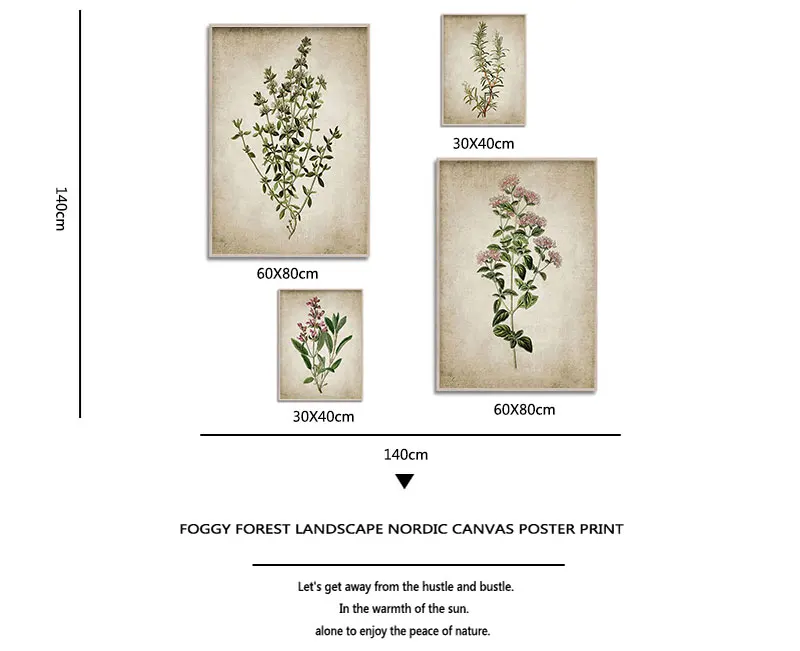 Vintage Herb Art Canvas Poster And Prints , Oregano Rosemary Sage Thyme Canvas Painting Retro Wall Pictures Home Art Wall Decor