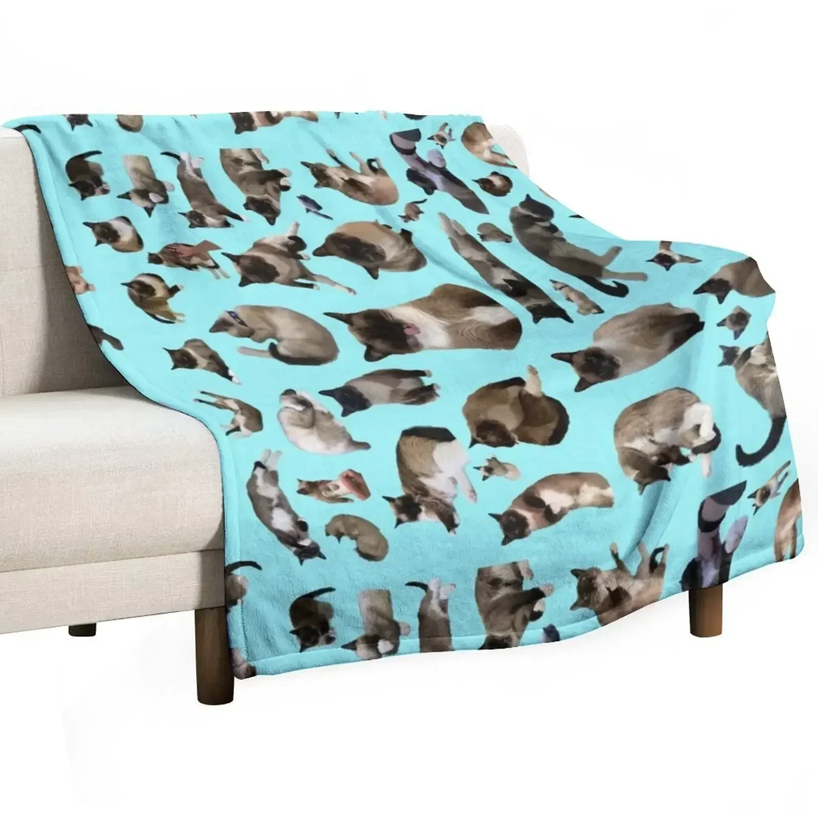 

Mojito the Siamese Cat Many Pictures of the Great Moe! Throw Blanket wednesday valentine gift ideas heavy to sleep Blankets