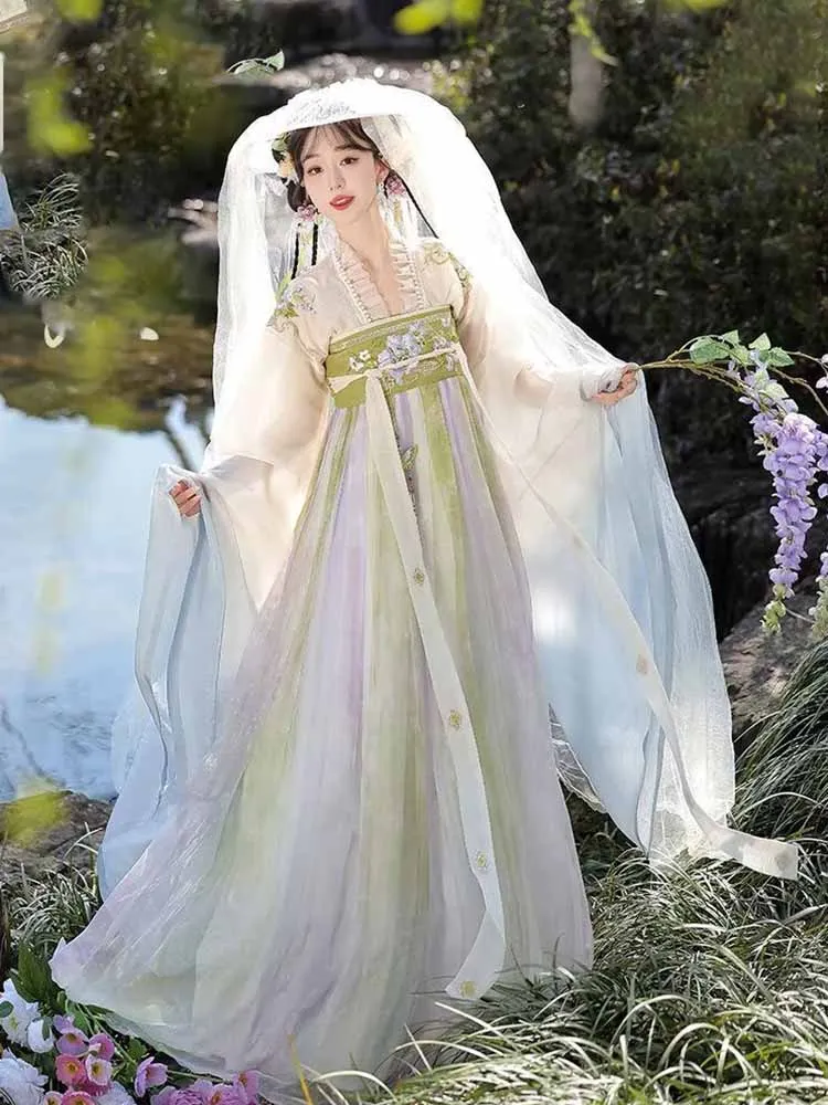 

Women's Traditional Chinese Hanfu Dress, Tang Dynasty Style Embroidered Floral Ruqun, Vintage Elegant Hanfu Robe for Cosplay