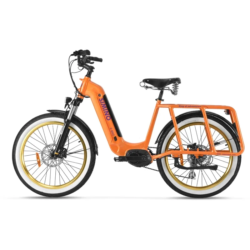 24x3.0 City E-bike Urban Family Cargo Ebike Vintage 48V Electric Bike for Sale