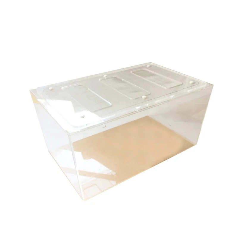 Acrylic Finished Seamless Ant Nest Ant Queen Landscaping Activity Area Transparent Observation Box DIY Insect Box