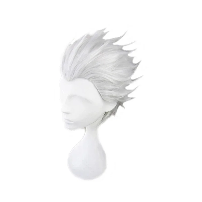 Fate Stay Night Go Extra Archer Emiya Wigs Short Silvery Heat Resistant Synthetic Hair Anime Costume Cosplay Wig   Wig Cap