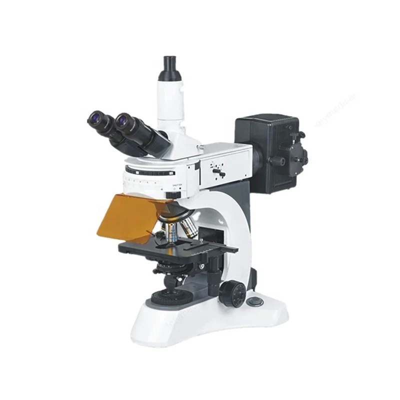 YYHC-High quality Laboratory Biological Fluorescent Microscope