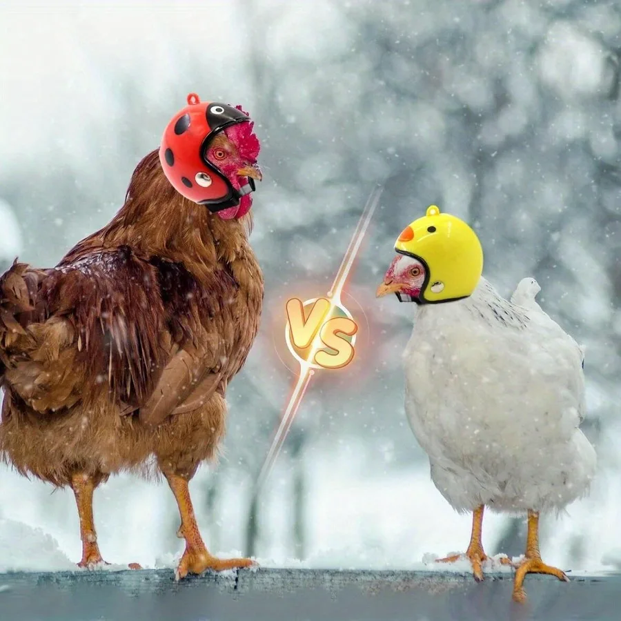 خوذة دجاج مرنة قابلة للتعديل - قبعة طيور آمنة، أزياء الحيوانات الأليفة للدجاج/الببغاء/الببغاء والدجاج الصغير للحيوانات الأليفة