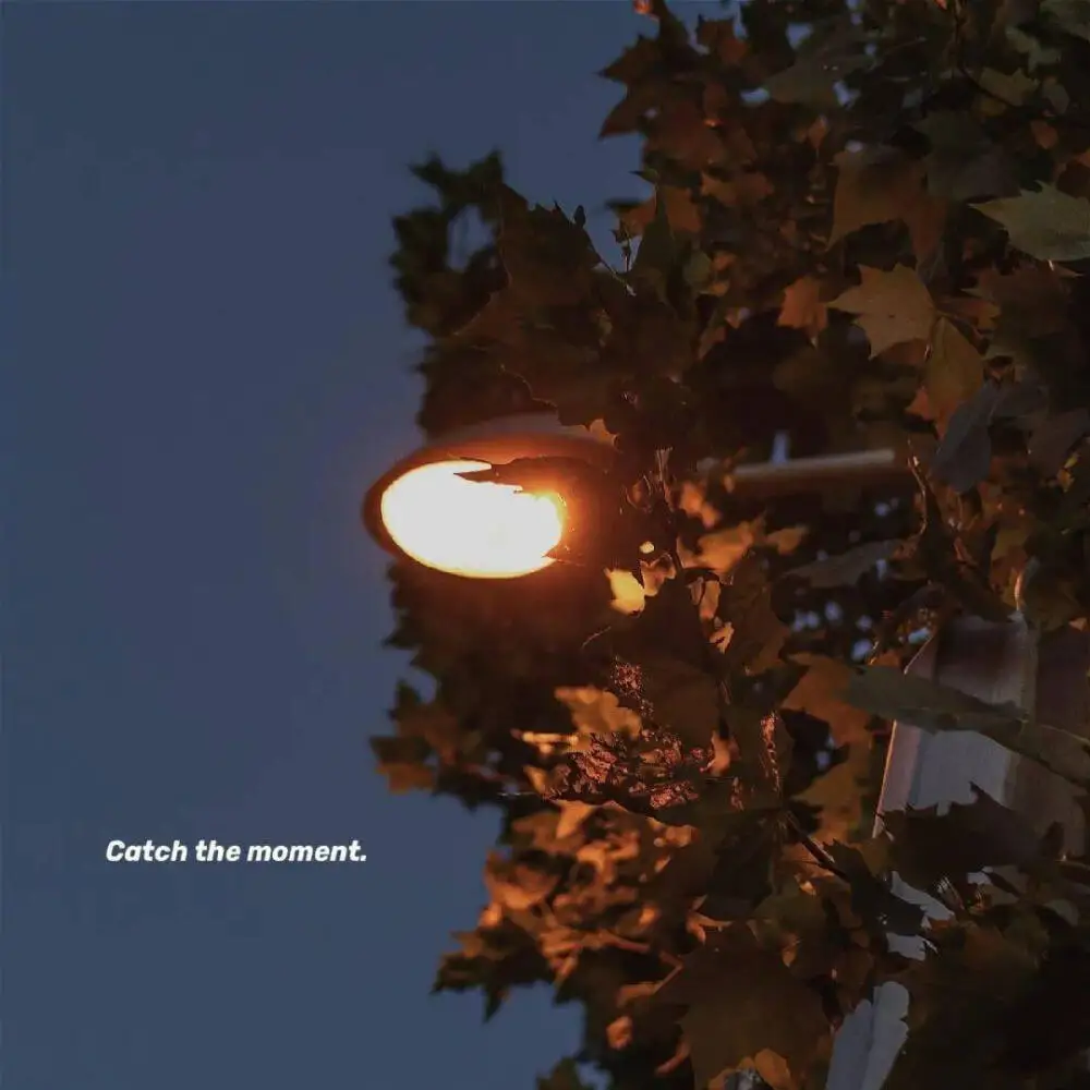 Servo moteur sans noyau à couple élevé 1x35kg, engrenage métallique numérique et en acier inoxydable, servo arduino pour bricolage robotique, voiture RC