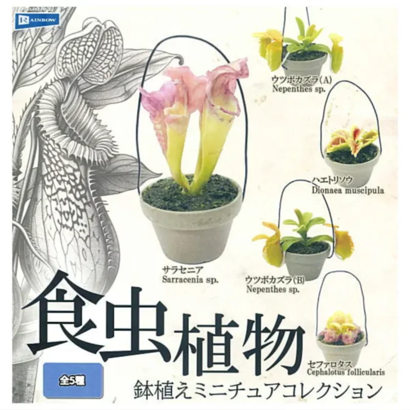 

Япония Радуга Гашапон Капсула Игрушка Еда Жук Растения Горшечные Растения Миниатюрное Украшение Бутылка Трава Свинья Клетка