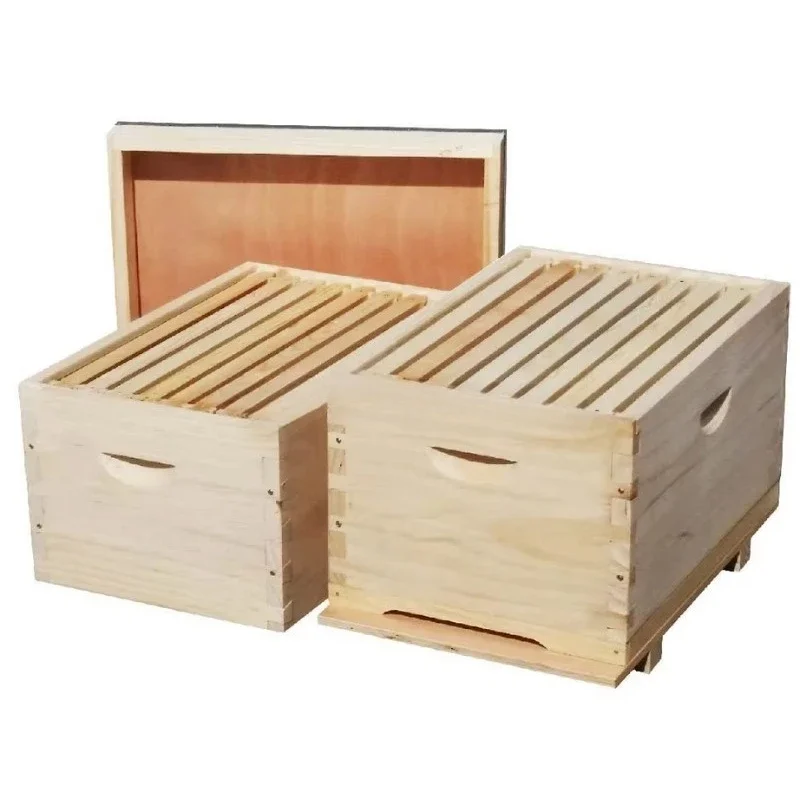 Hive Beehive 8F 10F…