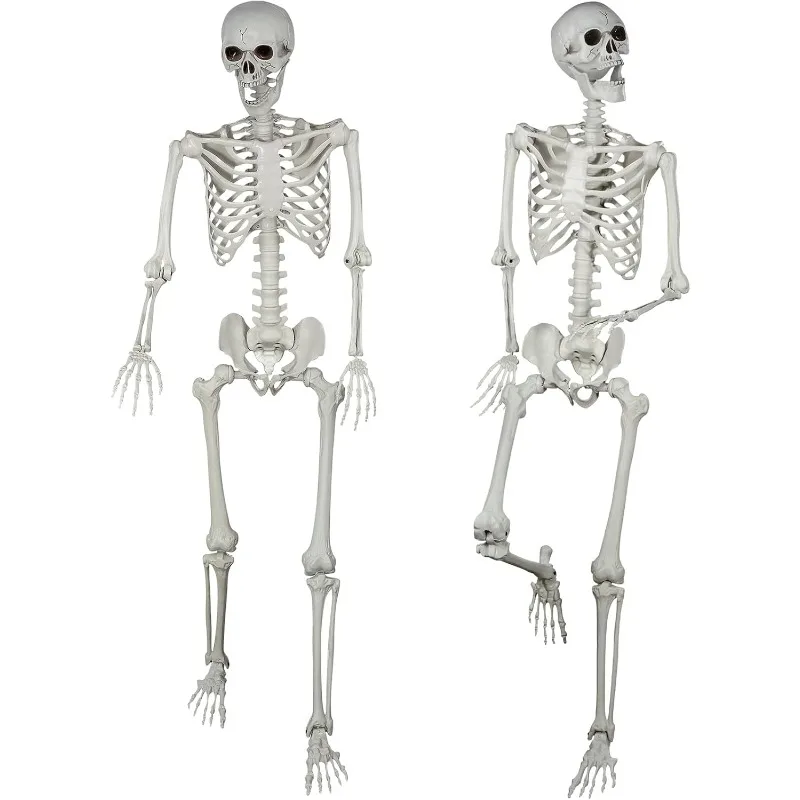 

5.4ft Halloween Posable Skeleton Realistic Life Size Human Skeleton Bones with Movable Joints for Halloween Haunted House