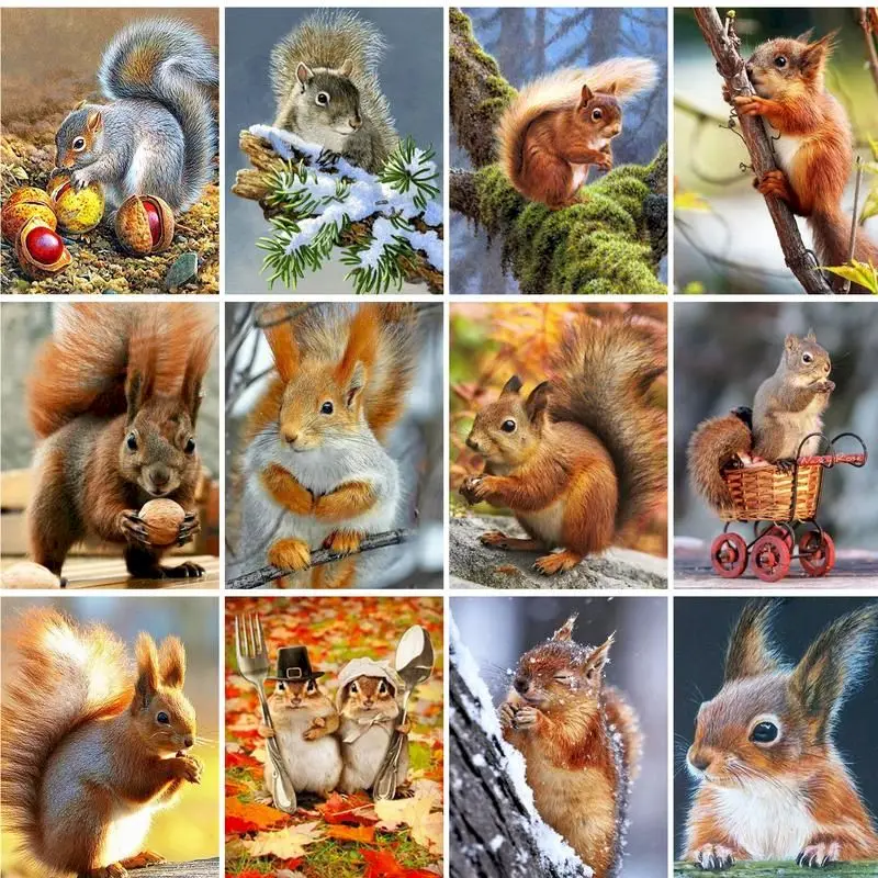 GATYZTORY Oil Paint By Numbers Animals DIY 60x75cm Painting By Numbers On Canvas Squirrel Draw Number Frameless Home Decor Gift