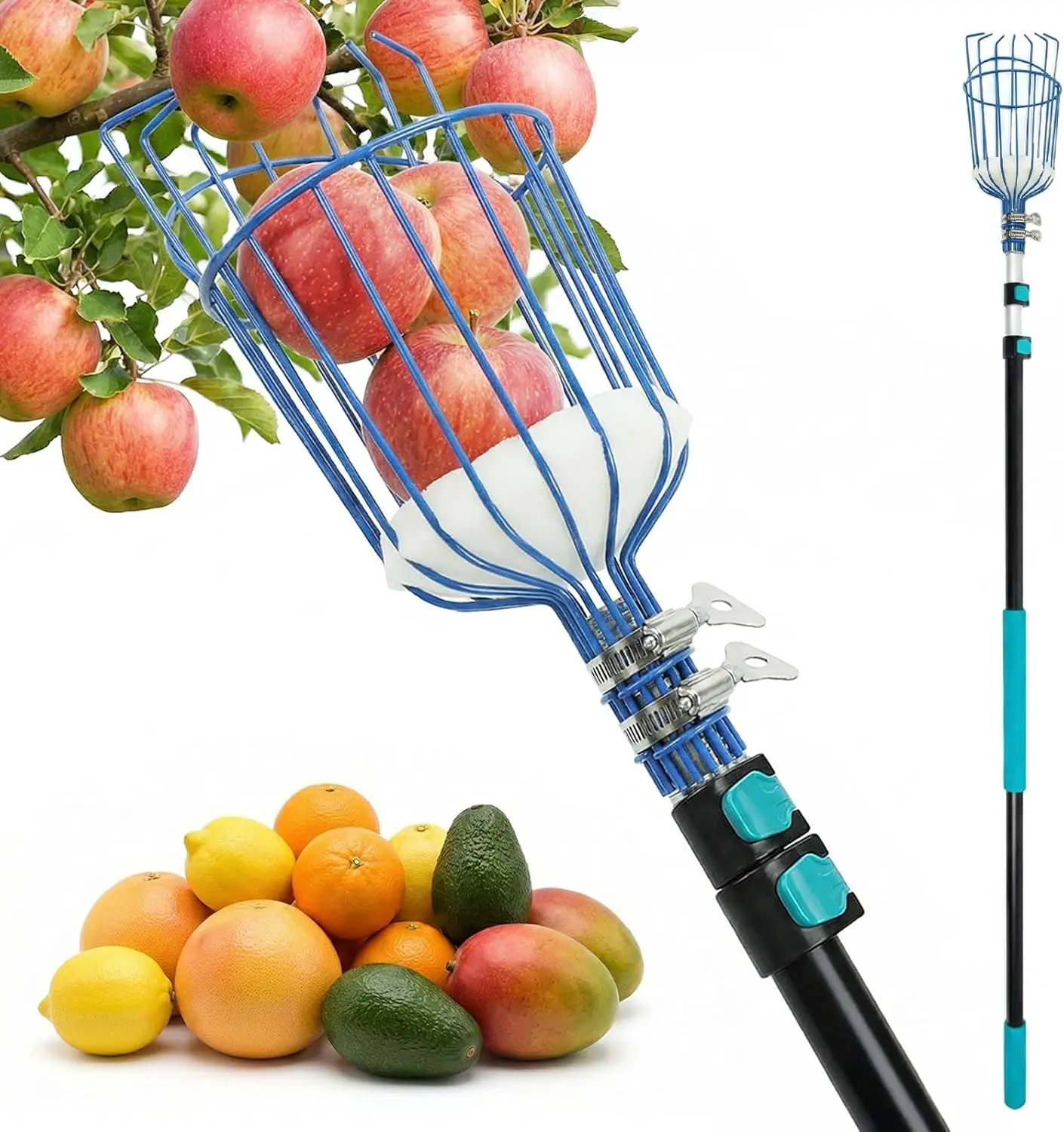 

5-12ft Telescoping Fruit Picker Pole with Basket,20FT Reach for Harvesting Mango, Orange, Lemon, Avocado, Pear - Sturdy Aluminum