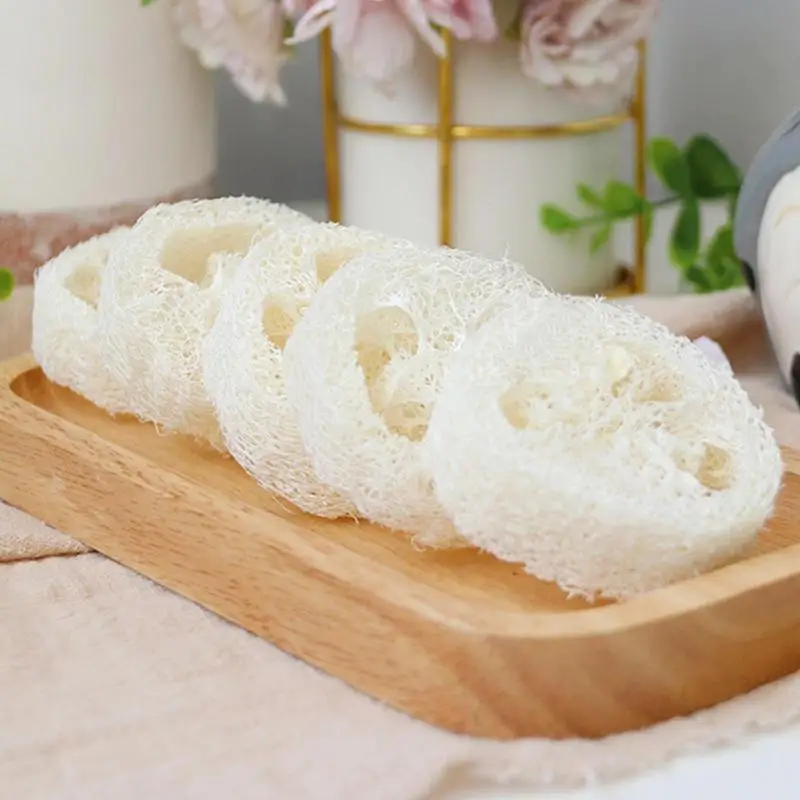 Natural Loofah Slices 10pcs Luffa Slices Cuts Loofah Kit Organic Soap Making Products Loofah Sponge Natural Loofah Soap Hamster