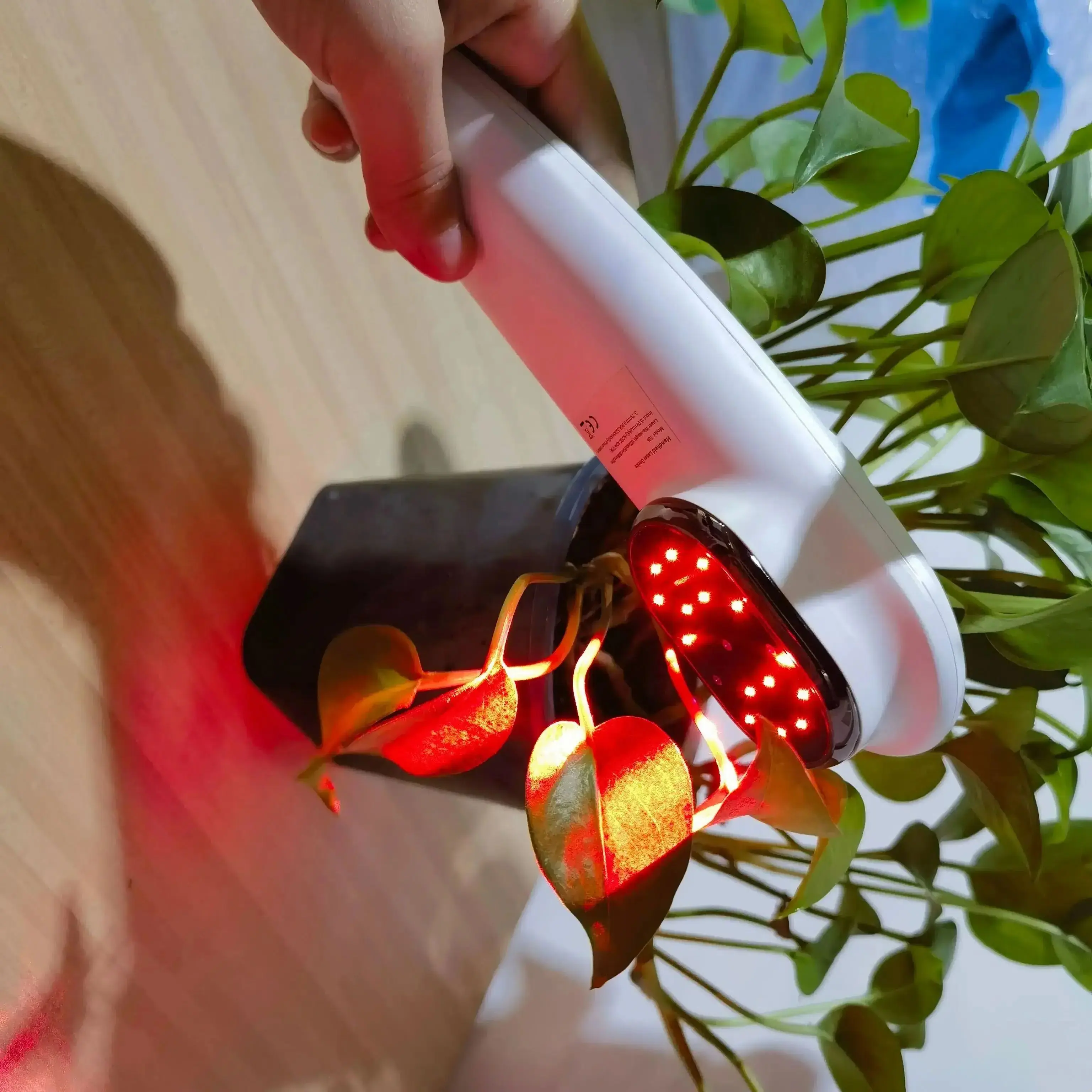 

Advanced Red Light Laser Therapy for Pet Relief Joint Pain Speed Up Recovery Safe and Non-Invasive Device