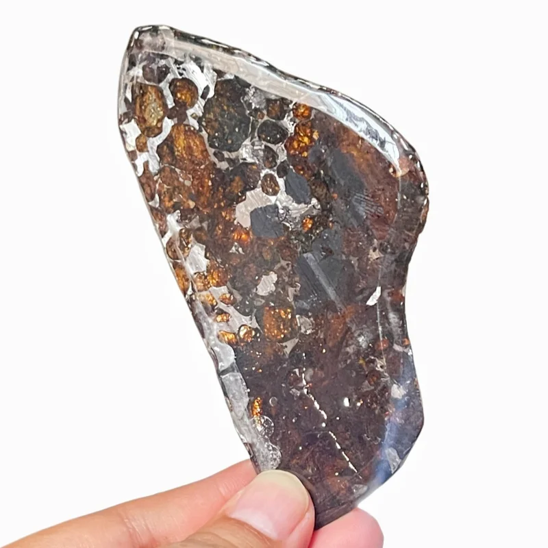Rare Sericho Pallasite Meteorite Slice Original Polished Specimen From Kenya Golden Olivine Crystal Space Rock Collection CA100