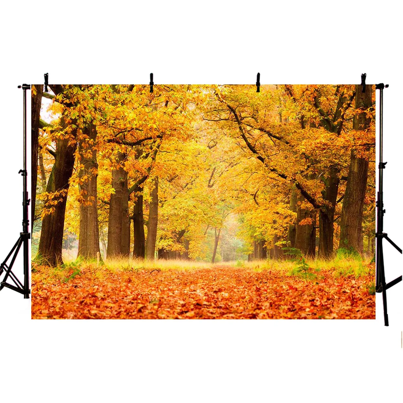 AIBIIN Autumn Forest Photography Background Maple Tree Leaf Natural Scenery Landscape Backdrop Thanksgiving  Portrait Photozone