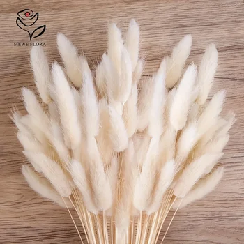 60pcs Mix Bunny Rabbit Tails Gras Gedroogde Bloemen Boeket Boho Home Decor Natuurlijke Lagurus Ovatus Pampas Bloemen Bruiloft Decoratie