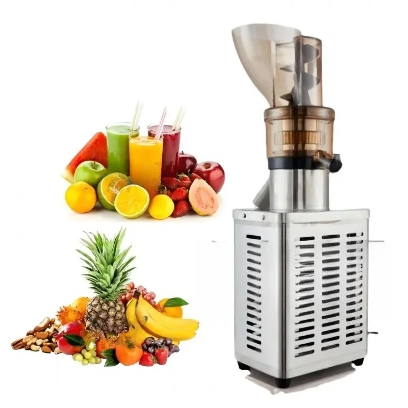 

Professional Fruit Juicer Commercial Apple Juicer
