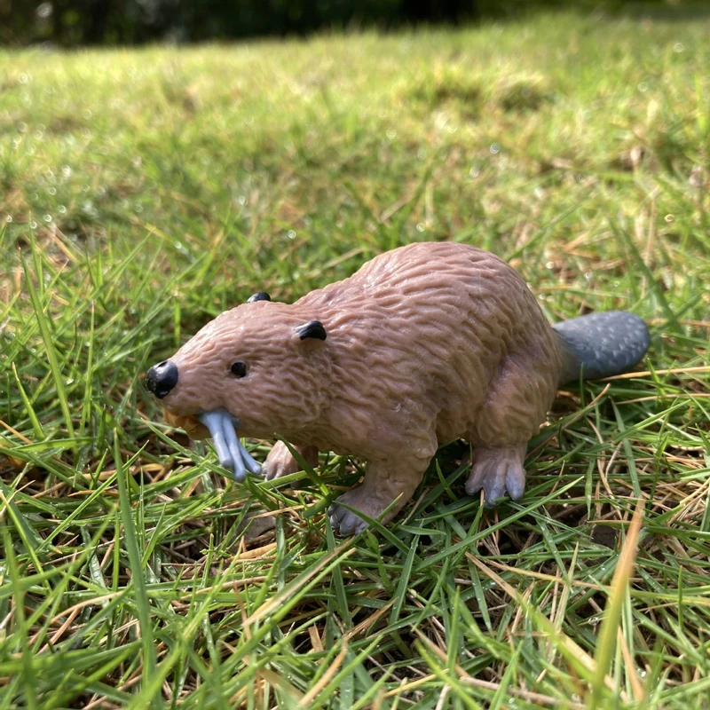 لعبة حيوانات واقعية نموذج الأب الذكور سمور الراتنج الشكل تمثال ديكور المنزل/المكتب تحصيل لعبة طفل التعليم المبكر