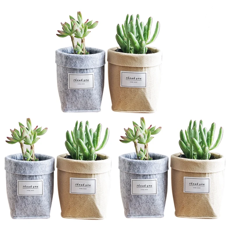 

6 Pcs New Plant Grow Bag New Home Decorations Cloth Desktop Flower Basket Fleshy Pot Thicken Garden Pot Garden Supplies