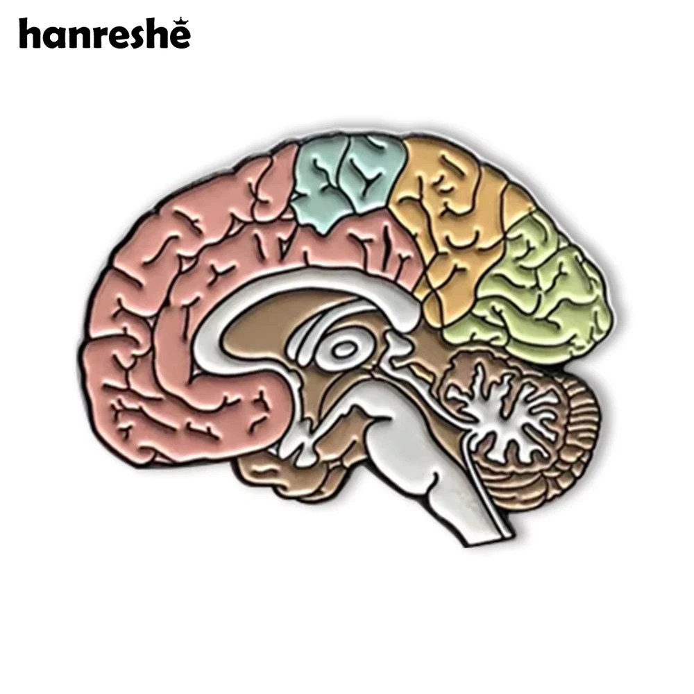 Hanreshe, lo más nuevo, broche médico de anatomía para el cerebro, alfileres de solapa esmaltados coloridos y delicados, joyería médica para médicos y enfermeras