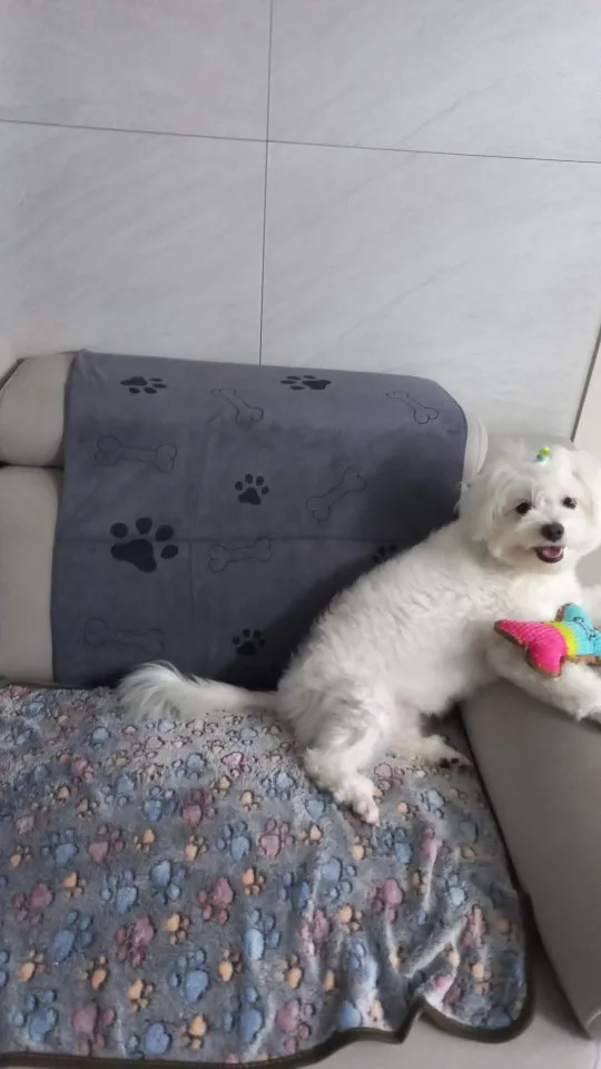 구매후기