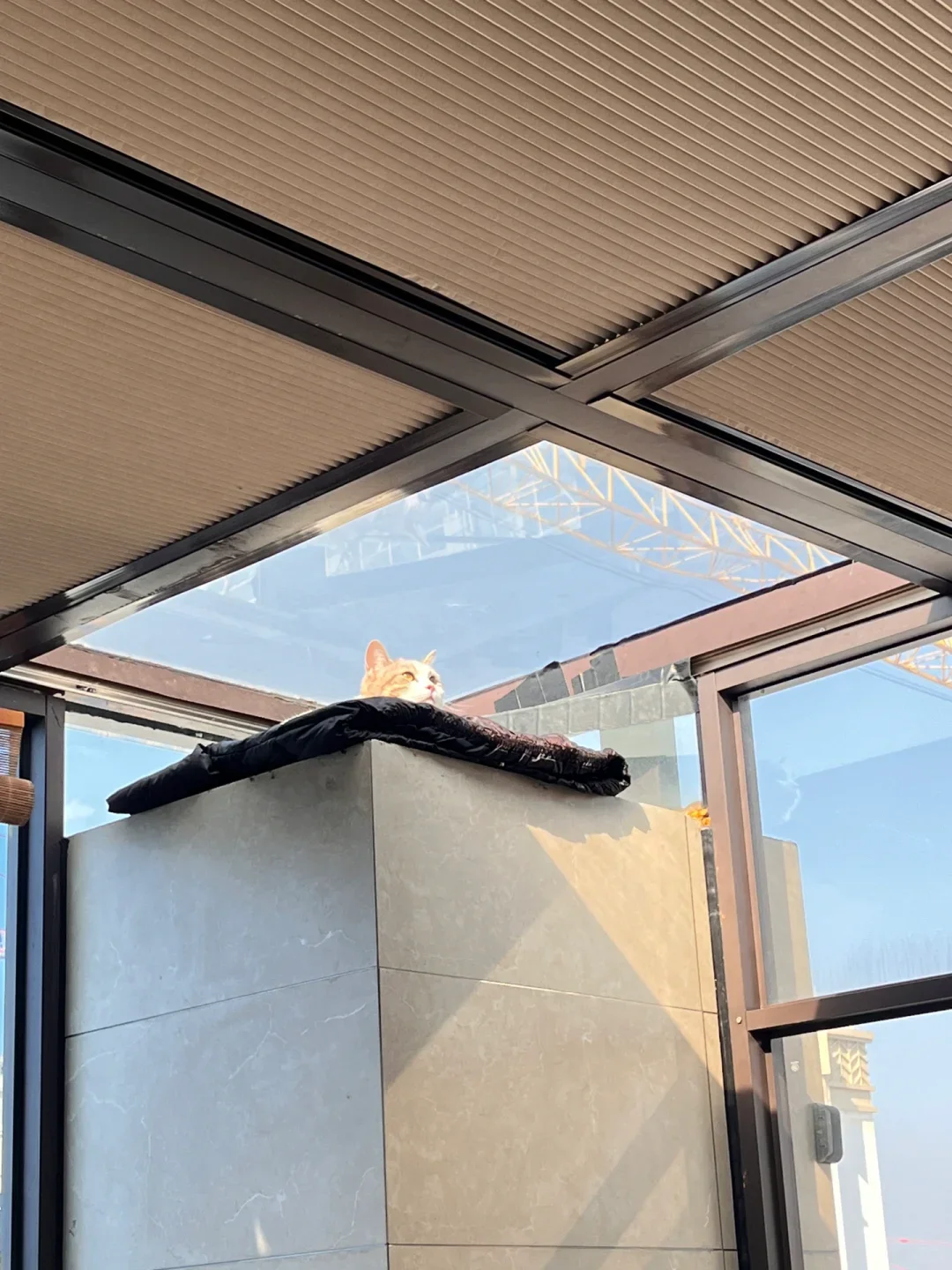 Motorized Cellular Shades Light Filtering Electric Honeycomb Blinds Full Blackout Fabric for Skylight Roof Cover Custom Size